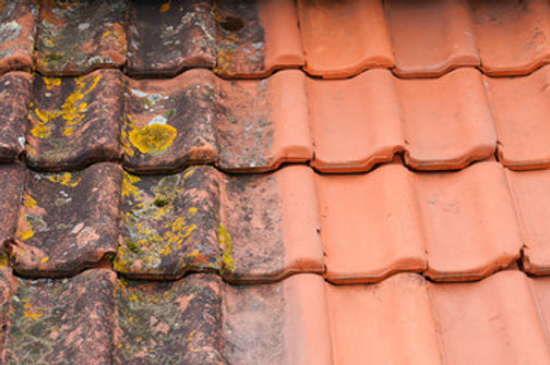The Ultimate Guide to Roof Cleaning and Maintenance
