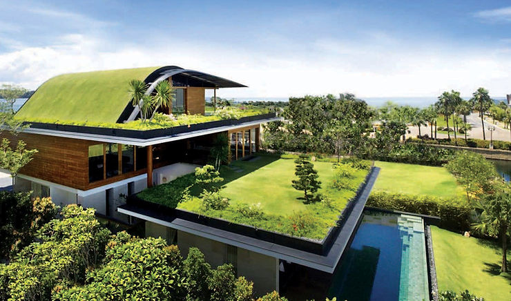Green Roofing Materials Options for a Sustainable Home